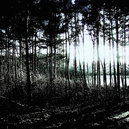 Living Monstrosity : On Rainy Nights Living Monstrosity : On Rainy Nights